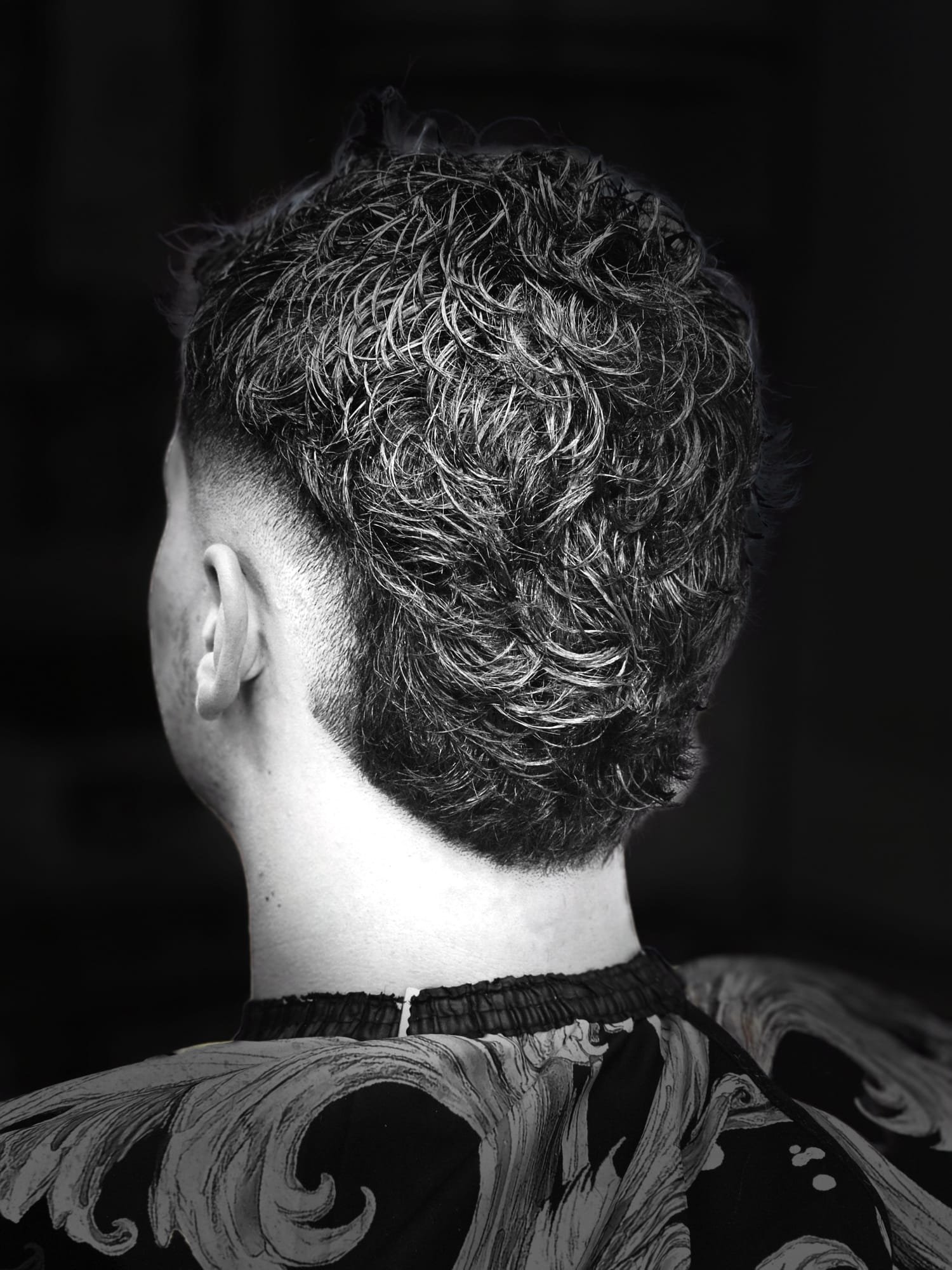 Curly Fade Haarschnitt